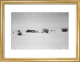 View of Wilfred Thesiger's travelling ...