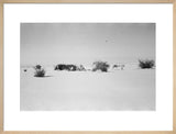 View of Wilfred Thesiger's travelling ...