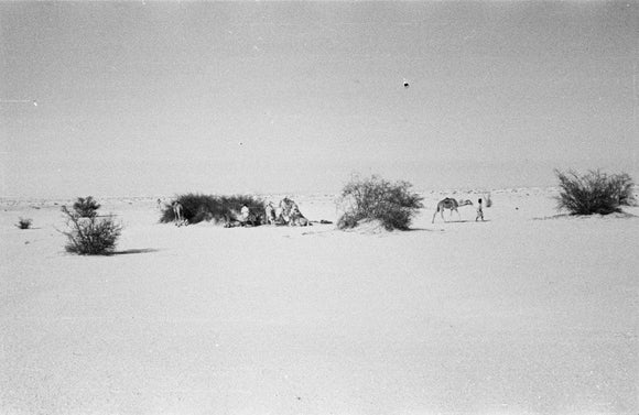 View of Wilfred Thesiger's travelling ...