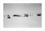 View of Wilfred Thesiger's travelling ...