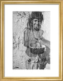 Portrait of a boy of ...