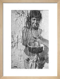 Portrait of a boy of ...
