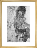 Portrait of a boy of ...