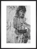 Portrait of a boy of ...