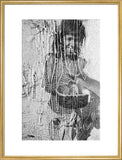 Portrait of a boy of ...