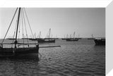 Side view of dhows (sailboats) ...