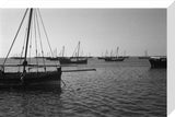 Side view of dhows (sailboats) ...