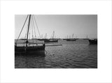 Side view of dhows (sailboats) ...