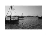 Side view of dhows (sailboats) ...