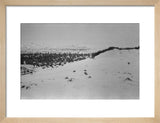 View of a sand dune ...