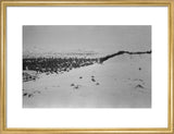 View of a sand dune ...