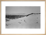 View of a sand dune ...