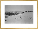 View of a sand dune ...