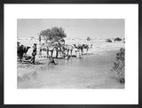 View of Wilfred Thesiger's travelling ...