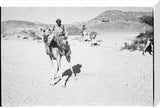 Portrait of a tribesman of ...