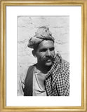 Close up portrait of a ...