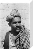 Close up portrait of a ...