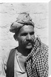 Close up portrait of a ...