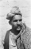 Close up portrait of a ...