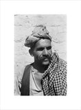 Close up portrait of a ...