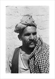Close up portrait of a ...