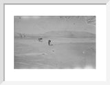 Wilfred Thesiger's party in the ...