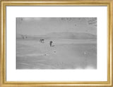 Wilfred Thesiger's party in the ...