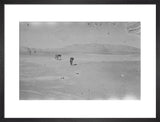 Wilfred Thesiger's party in the ...