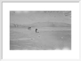 Wilfred Thesiger's party in the ...