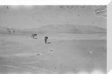 Wilfred Thesiger's party in the ...