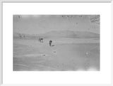 Wilfred Thesiger's party in the ...