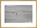 Wilfred Thesiger's party in the ...