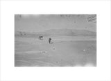 Wilfred Thesiger's party in the ...