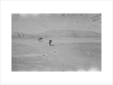 Wilfred Thesiger's party in the ...