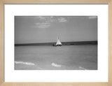 View of a dhow (sailboat) ...