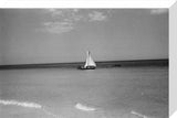 View of a dhow (sailboat) ...