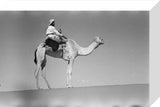 Portrait of an Arab falconer ...