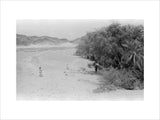 View of a group of ...