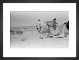 View of Sheikh Zayed bin ...