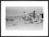 View of Sheikh Zayed bin ...