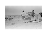 View of Sheikh Zayed bin ...