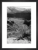 View of a valley in ...