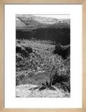 View of a valley in ...