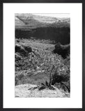 View of a valley in ...