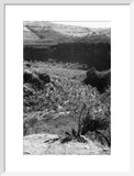 View of a valley in ...