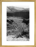 View of a valley in ...