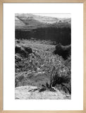 View of a valley in ...