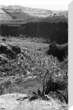 View of a valley in ...