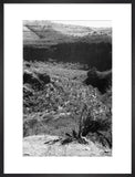 View of a valley in ...
