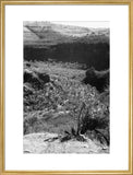 View of a valley in ...